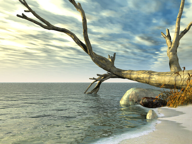 Driftwood on Beach — Blue, Serene