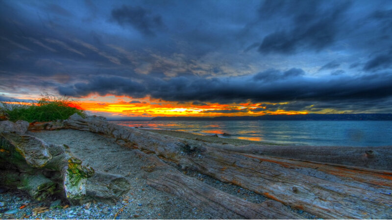 Driftwood on Beach — Blue, Sunset