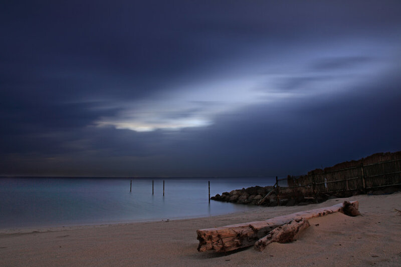 Driftwood on Beach — Blue