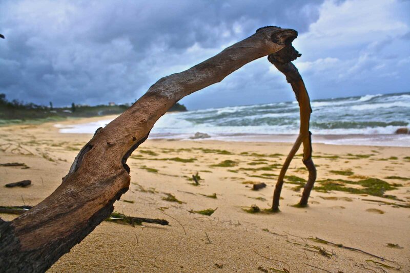 Driftwood on Beach — Brown, Dramatic, Photograph, Sand