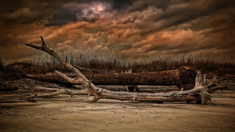 Driftwood on Beach — Brown, Dramatic, Sunset, Photograph, Clouds