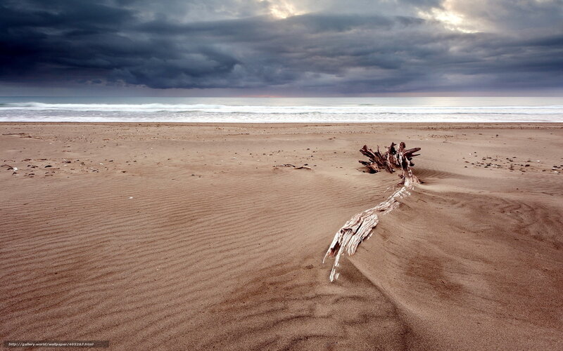 Driftwood on Beach — Brown, Dramatic, Sunset, Photograph, Ocean, Clouds