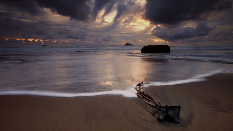 Driftwood on Beach — Brown, Dramatic, Sunset, Photograph, Ocean, Rocks, Clouds