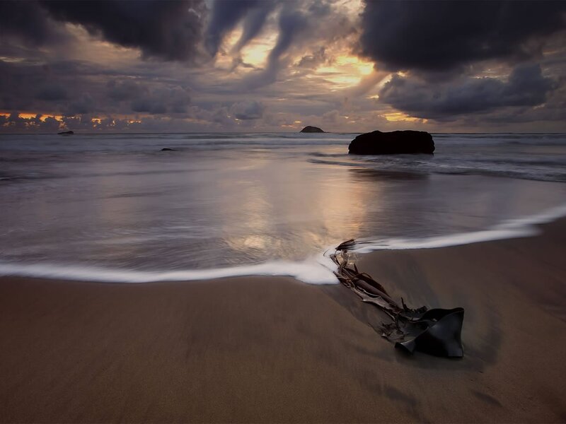 Driftwood on Beach — Brown, Dramatic, Sunset, Photograph, Ocean, Rocks
