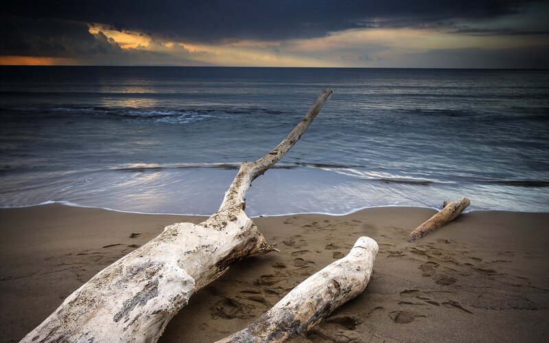Driftwood on Beach — Brown, Dramatic, Sunset, Photograph, Ocean, Sand