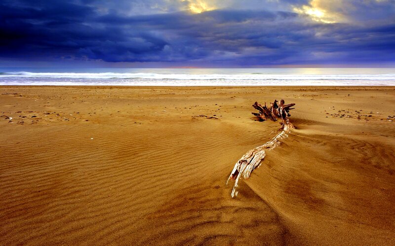 Driftwood on Beach — Brown, Dramatic, Sunset, Photograph, Sand