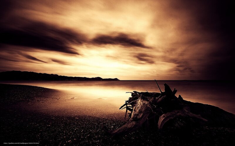 Driftwood on Beach — Brown, Dramatic, Sunset, Photograph, Sea, Sky