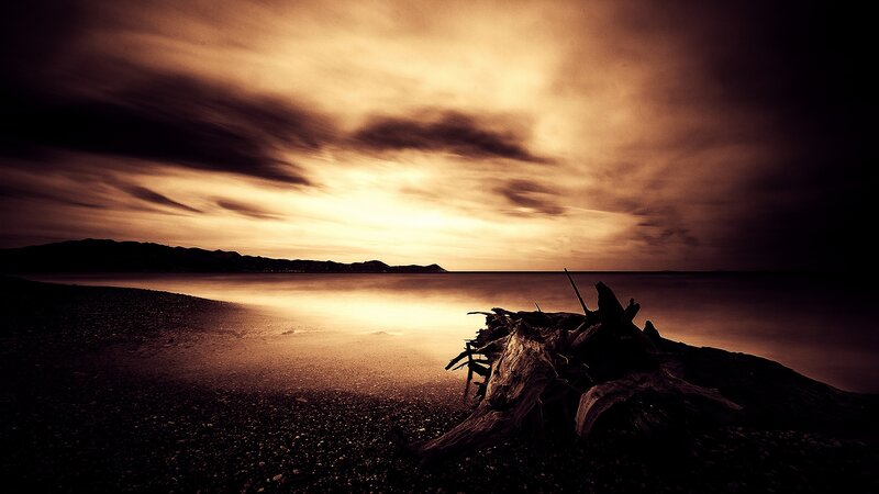 Driftwood on Beach — Brown, Dramatic, Sunset, Photograph, Sea