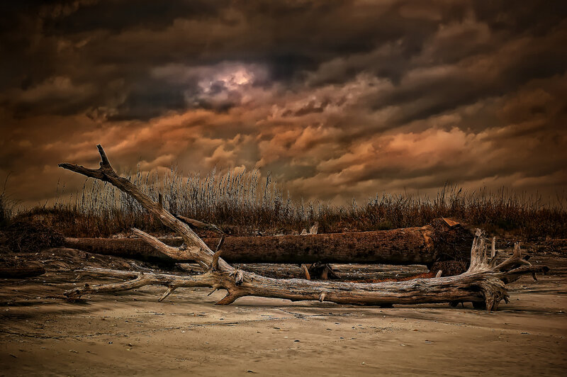 Driftwood on Beach — Brown, Dramatic, Sunset, Photograph