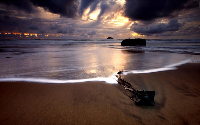 Driftwood on Beach — Brown, Dramatic, Sunset