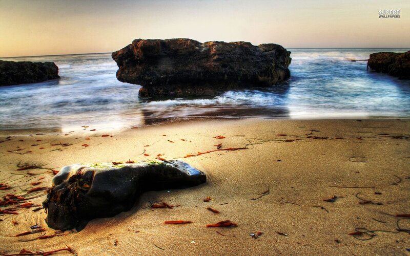 Driftwood on Beach — Brown, Serene, Sunset, Photograph, Rocks