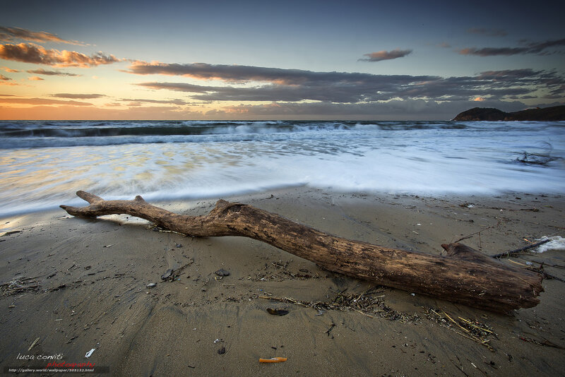 Driftwood on Beach — Brown, Serene, Sunset