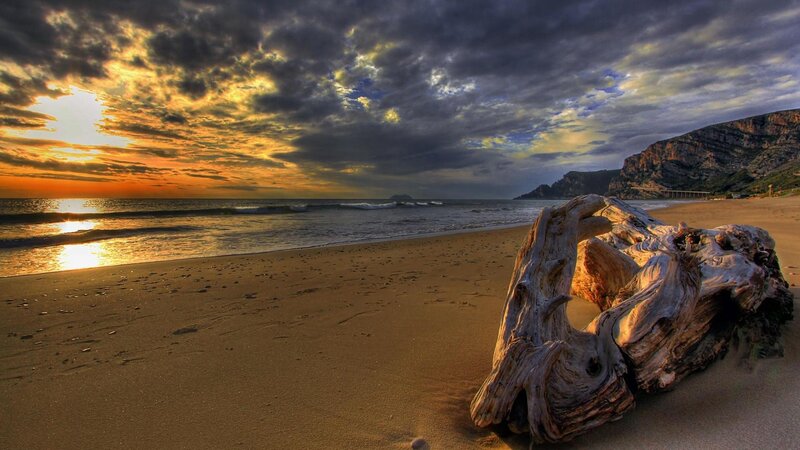 Driftwood on Beach — Gold, Dramatic, Sunset, Photograph, Ocean