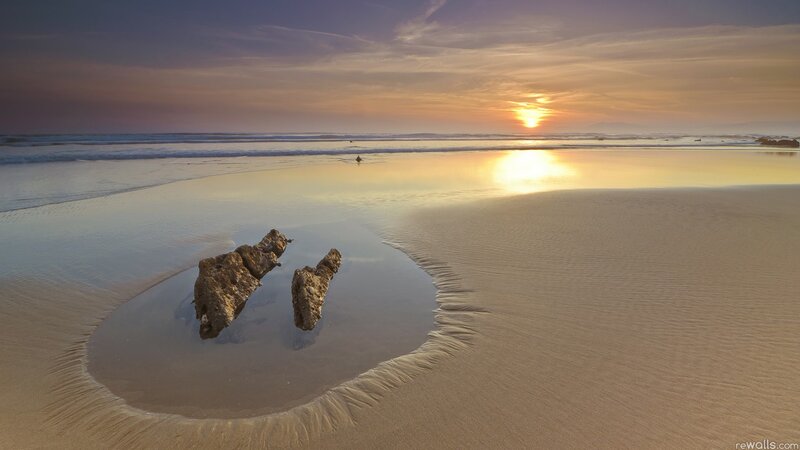 Driftwood on Beach — Gold, Serene, Sunset