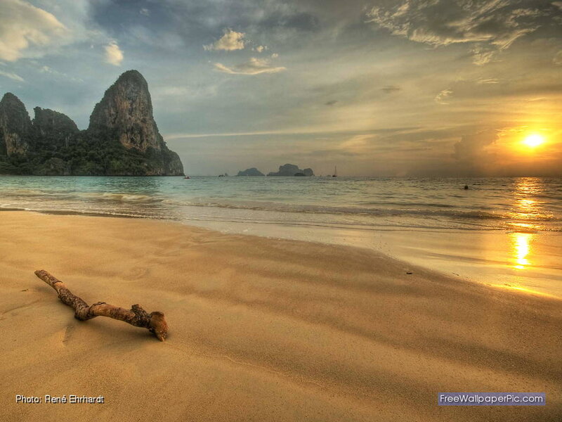 Driftwood on Beach — Gold
