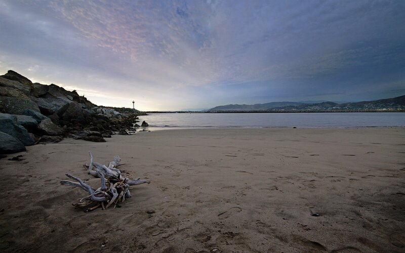 Driftwood on Beach — Gray, Calm, Sunset