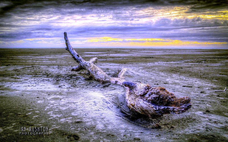 Driftwood on Beach — Gray, Dramatic, Sunrise