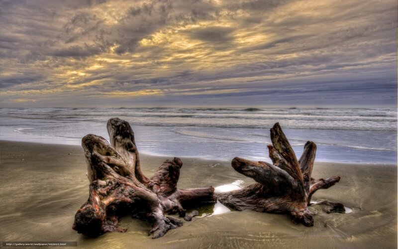 Driftwood on Beach — Gray, Dramatic, Sunset, Photograph, Ocean, Sky