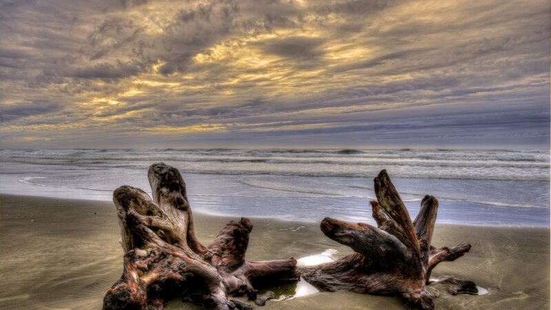 Driftwood on Beach — Gray, Dramatic, Sunset, Photograph, Ocean