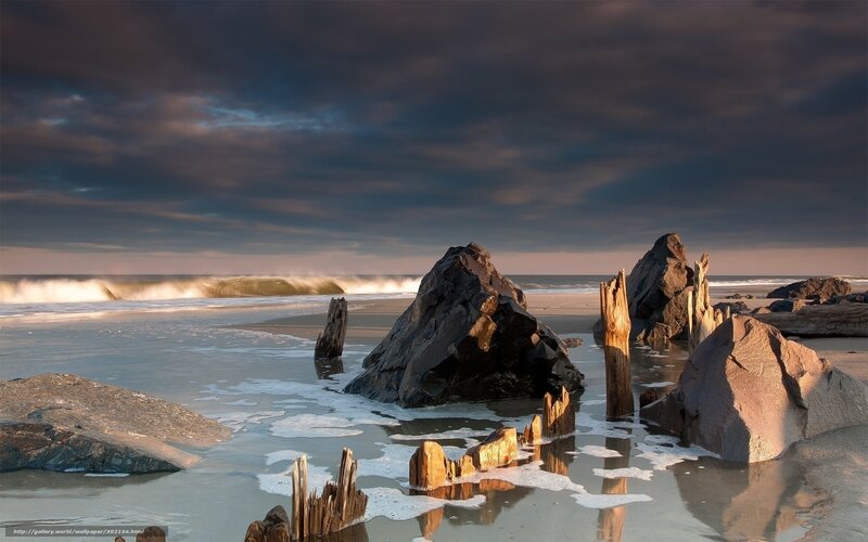 Driftwood on Beach — Gray, Dramatic, Sunset, Photograph, Rocks, Ocean, Clouds