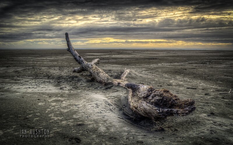 Driftwood on Beach — Gray, Dramatic, Sunset, Photograph, Sky