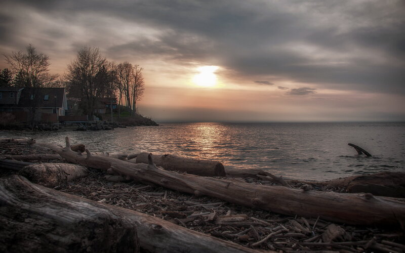 Driftwood on Beach — Gray, Dramatic, Sunset, Photograph, Sun
