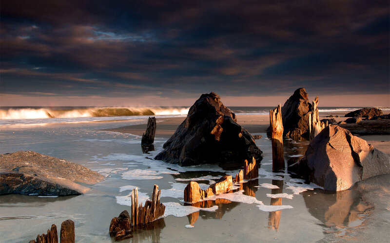 Driftwood on Beach — Gray, Dramatic, Sunset, Photograph