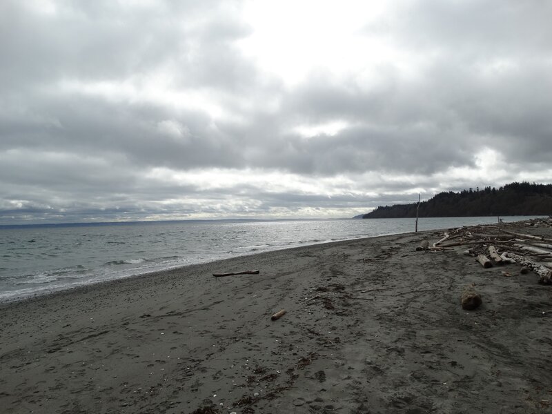 Driftwood on Beach — Gray, Overcast, Photograph