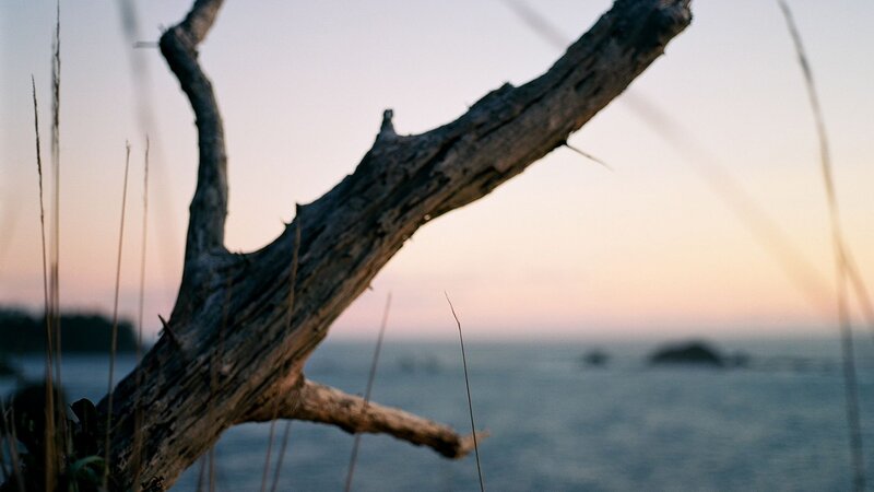 Driftwood on Beach — Gray, Serene, Sunset, Photograph, Ocean