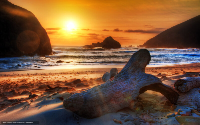 Driftwood on Beach — Orange, Dramatic, Sunrise, Photograph