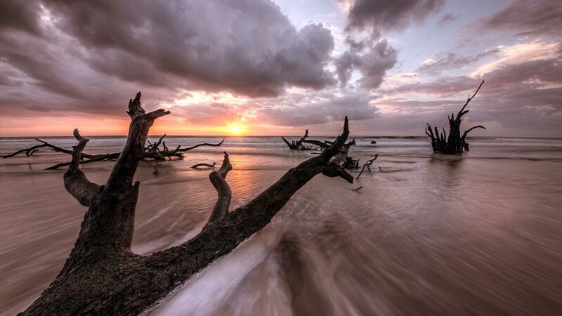 Driftwood on Beach — Orange, Dramatic, Sunrise