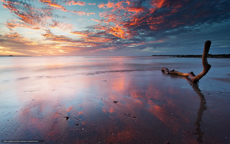 Driftwood on Beach — Orange, Dramatic, Sunset, Photograph, Clouds, Sand