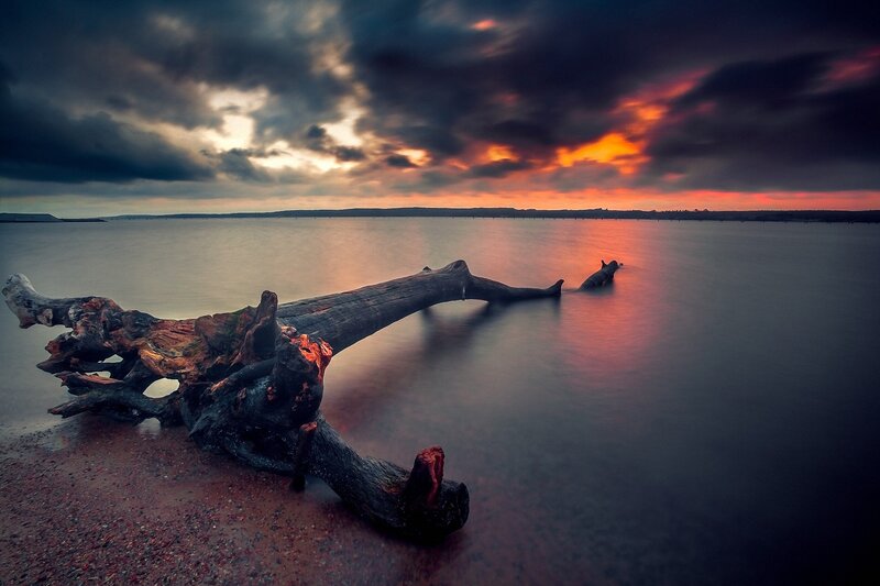 Driftwood on Beach — Orange, Dramatic, Sunset, Photograph, Clouds, Water