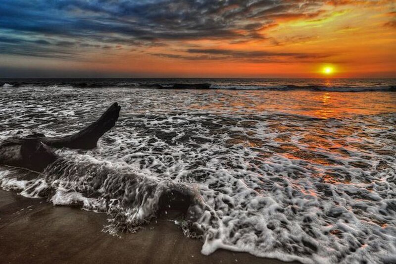 Driftwood on Beach — Orange, Dramatic, Sunset, Photograph, Ocean, Sun
