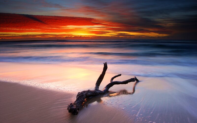 Driftwood on Beach — Orange, Dramatic, Sunset, Photograph, Ocean