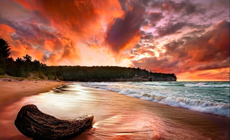 Driftwood on Beach — Orange, Dramatic, Sunset, Photograph, Ocean, Trees