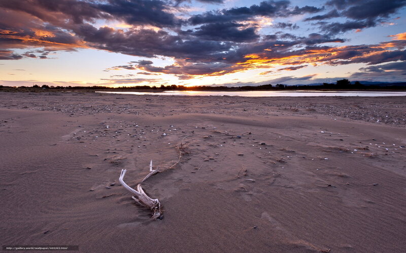 Driftwood on Beach — Orange, Dramatic, Sunset, Photograph, Sand