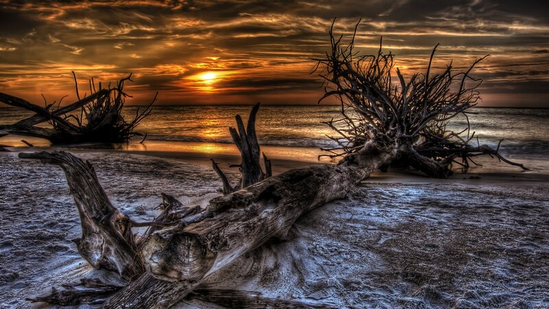 Driftwood on Beach — Orange, Dramatic, Sunset, Photograph, Sun, Ocean