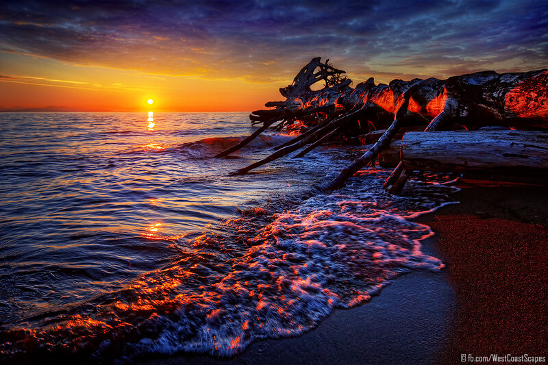 Driftwood on Beach — Orange, Dramatic, Sunset, Photograph, Sun, Ocean, Waves