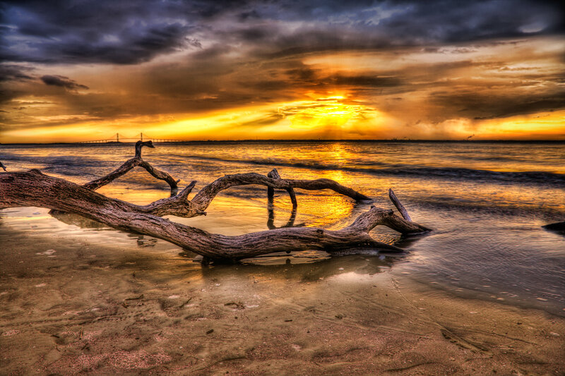 Driftwood on Beach — Orange, Dramatic, Sunset, Photograph