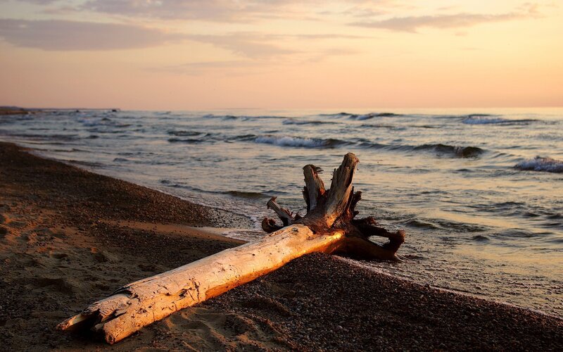 Driftwood on Beach — Orange, Serene, Sunset, Photograph, Ocean, Sand, Sky, Brown