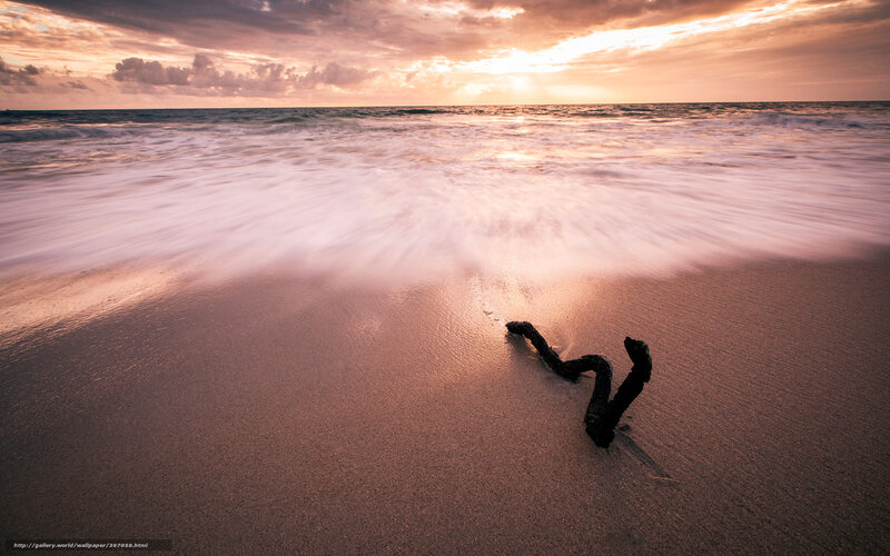 Driftwood on Beach — Orange, Serene, Sunset, Photograph, Ocean, Sand, Sky
