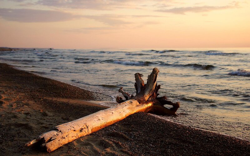 Driftwood on Beach — Orange, Serene, Sunset, Photograph, Ocean, Sky, Brown, Blue