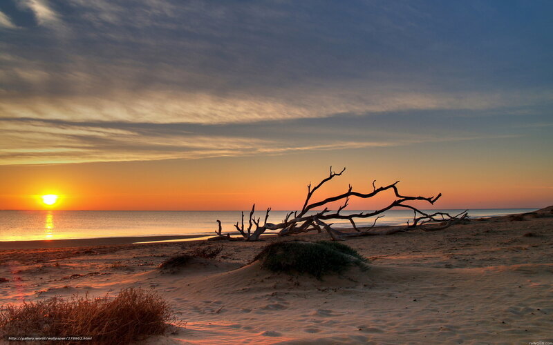 Driftwood on Beach — Orange, Serene, Sunset, Photograph, Sun, Ocean, Sand Dunes