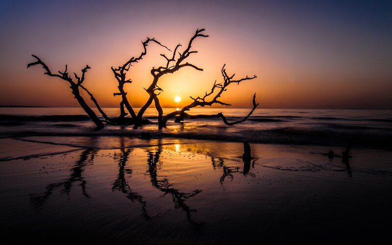 Driftwood on Beach — Orange, Serene, Sunset, Photograph, Sun, Ocean, Sky