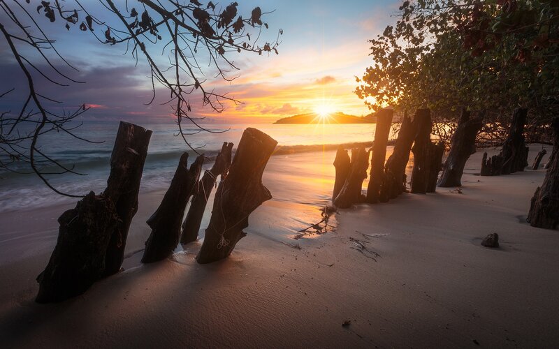 Driftwood on Beach — Orange, Serene, Sunset, Photograph, Sunrise, Ocean