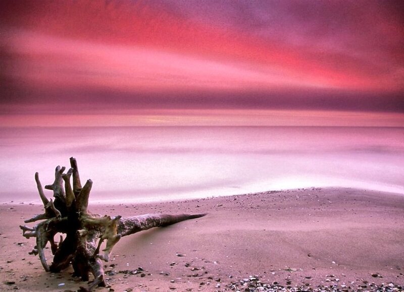 Driftwood on Beach — Pink, Dramatic, Sunset