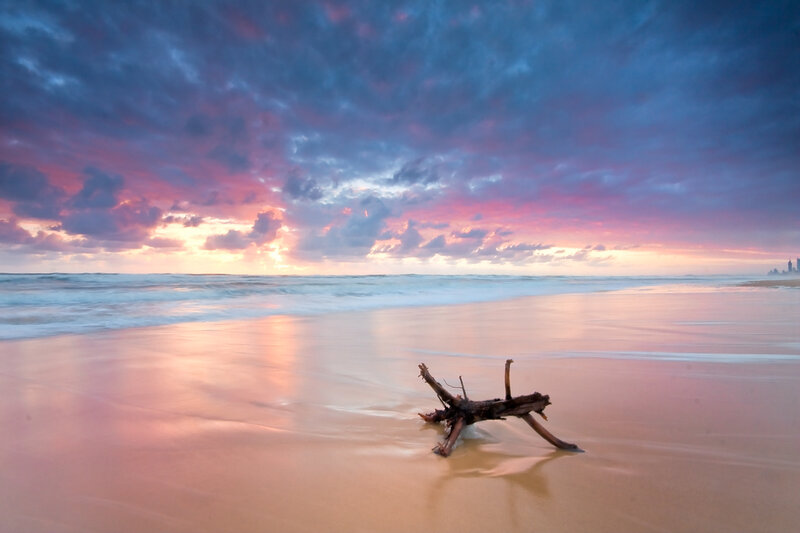 Driftwood on Beach — Pink, Dramatic