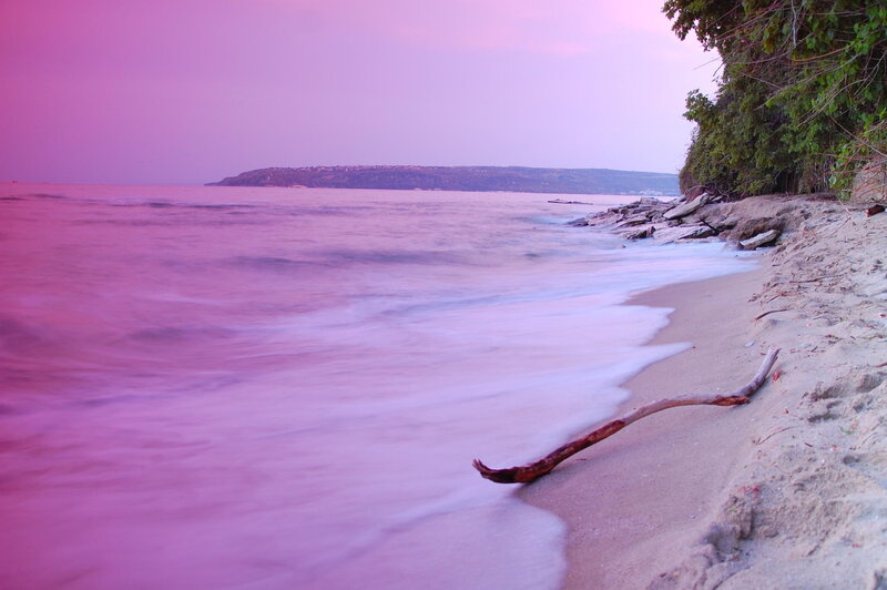 Driftwood on Beach — Pink, Serene, Sunset, Photograph