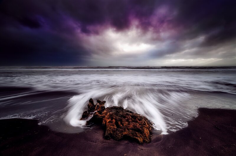 Driftwood on Beach — Purple, Dramatic, Night, Photograph